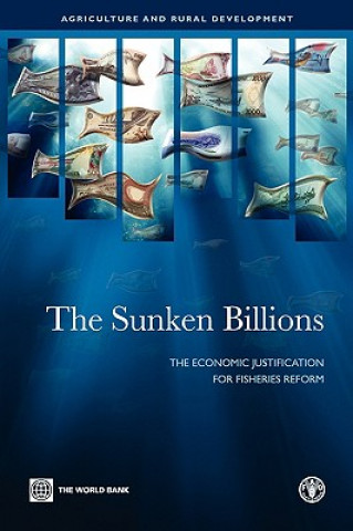 Книга Sunken Billions World Bank
