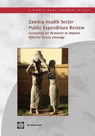Könyv Zambia Health Sector Public Expenditure Review Feng Zhao