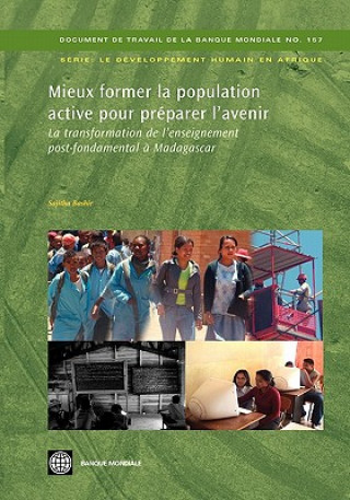 Knjiga Mieux Former La Population Active Pour Preparer L'avenir Sajitha Bashir