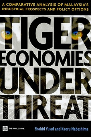 Carte Tiger Economies Under Threat Kaoru Nabeshima