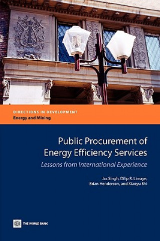 Книга Public Procurement of Energy Efficiency Services Xiaoyu Shi