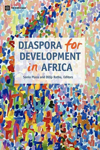 Książka Diaspora for Development in Africa 