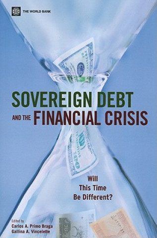 Könyv Sovereign Debt and the Financial Crisis Carlos A. Primo Braga