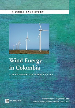 Kniha Wind Energy in Colombia Irene Leino