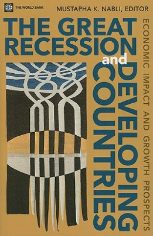 Книга Great Recession and Developing Countries 