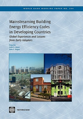 Książka Mainstreaming Building Energy Efficiency Codes in Developing Countries John F. Hogan