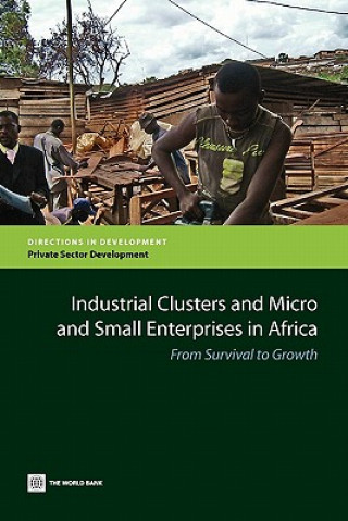 Kniha Industrial Clusters and Micro and Small Enterprises in Africa World Bank