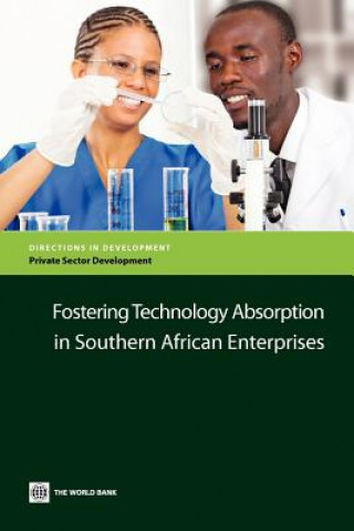 Könyv Fostering Technology Absorption in Southern African Enterprises Itzhak Goldberg