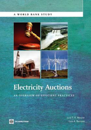Kniha Electricity Auctions Luiz Barroso