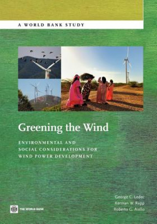 Könyv Greening the Wind Robert Gabriel Aiello