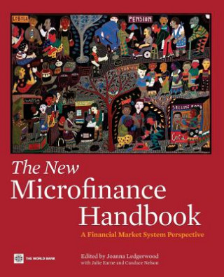 Könyv New Microfinance Handbook Julie F. Earne