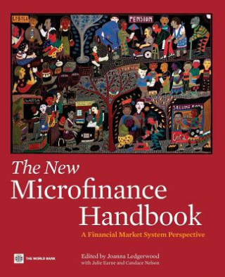 Książka New Microfinance Handbook Julie F. Earne