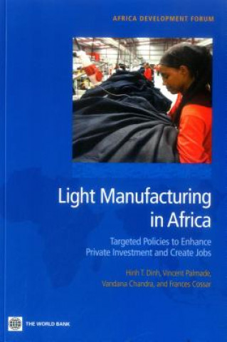 Könyv Light Manufacturing in Africa 