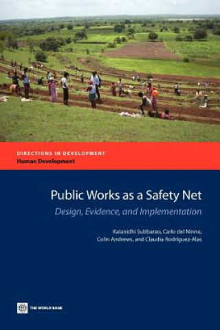 Könyv Public Works as a Safety Net Colin Andrews