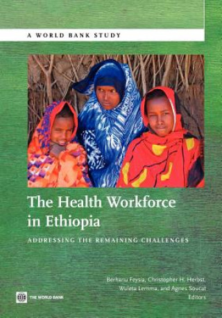 Książka Health Workforce in Ethiopia 