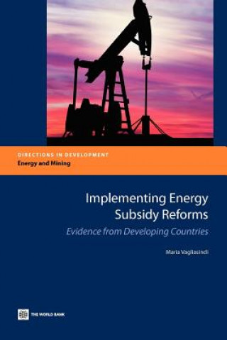 Kniha Implementing Energy Subsidy Reforms Maria Vagliasindi