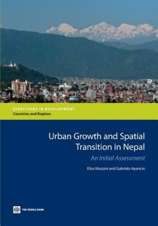 Kniha Nepal's Urban Growth and Spatial Transition Gabriela Aparicio