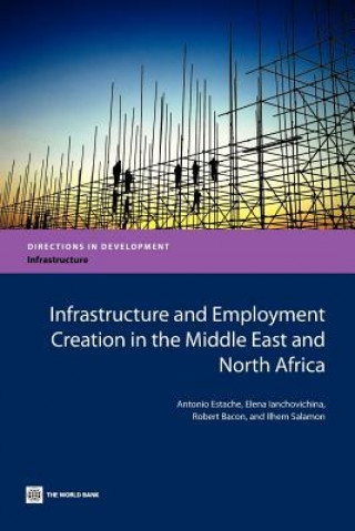 Kniha Infrastructure and Employment Creation in the Middle East and North Africa Ilhem Salamon