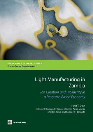 Carte Light Manufacturing in Zambia Hinh T. Dinh