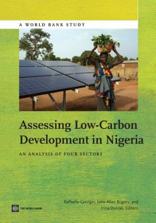 Carte Assessing Low-Carbon Development in Nigeria 