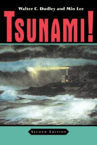 Książka Tsunami! Min Lee