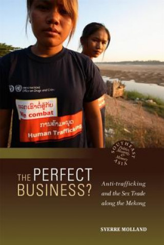Kniha Perfect Business? Sverre Molland