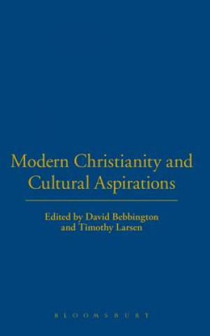 Kniha Modern Christianity and Cultural Aspirations Timothy Larsen