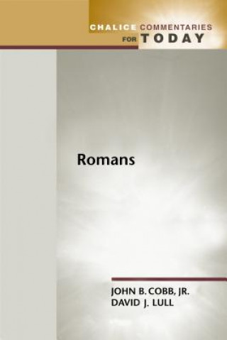 Book Romans David J. Lull