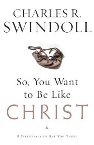 Kniha So, You Want To Be Like Christ? Charles R. Swindoll