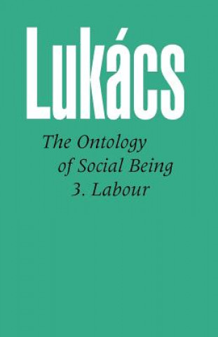 Kniha Ontology of Social Being: Pt. 3 Georg Lukacs