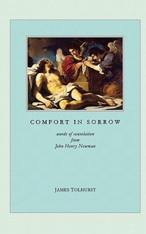 Kniha Comfort in Sorrow James Tolhurst