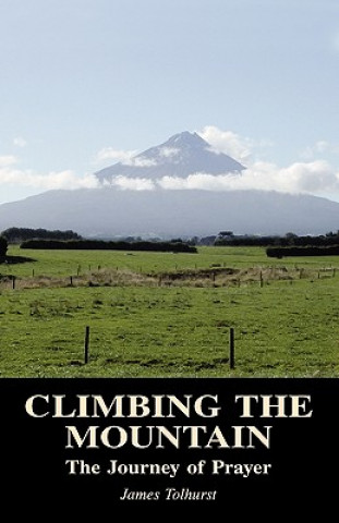 Kniha Climbing the Mountain James Tolhurst