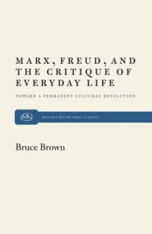 Könyv Marx, Freud and the Critique of Everyday Life Bruce Brown