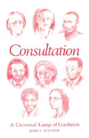 Книга Consultation John E. Kolstoe
