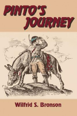 Книга Pinto's Journey Wilfrid S Bronson