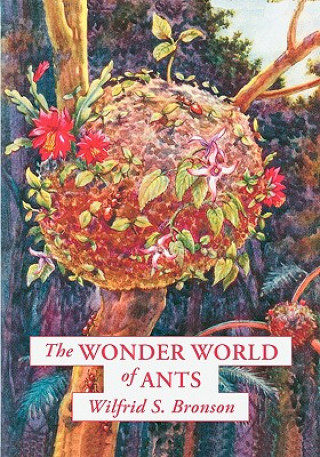 Könyv Wonder World of Ants Wilfrid S Bronson