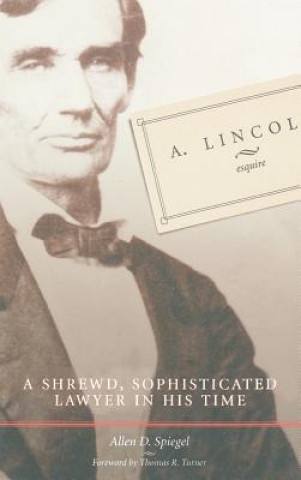 Carte A. Lincoln, Esquire Allen D. Spiegel