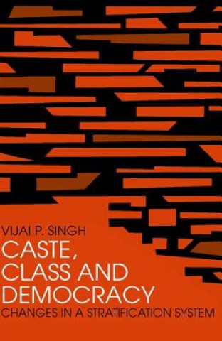 Livre Caste, Class and Democracy Singh