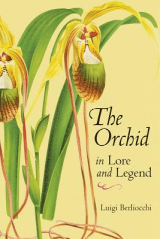 Книга Orchid in Lore and Legend Luigi Berliocchi