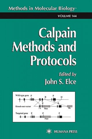 Książka Calpain Methods and Protocols John S. Elce