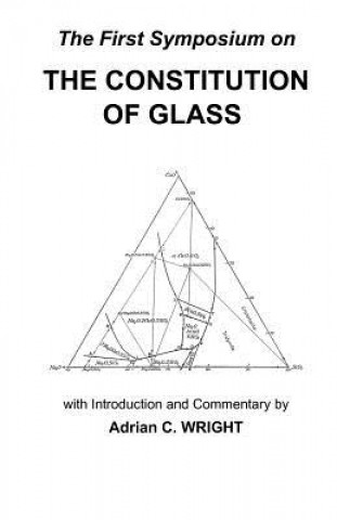 Kniha Constitution of Glass Adrian C Wright