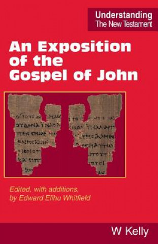 Kniha Exposition of the Gospel of John William Kelly