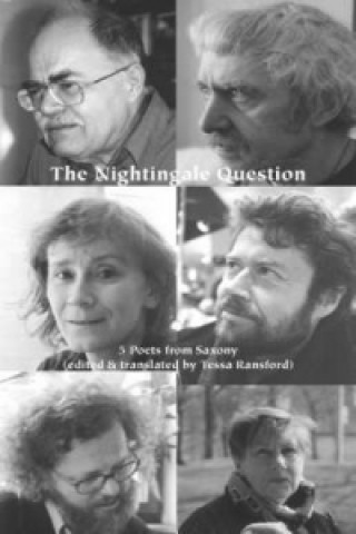 Книга Nightingale Question Thomas Rosenloecher