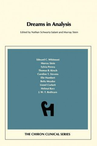 Kniha Dreams in Analysis Murray Stein