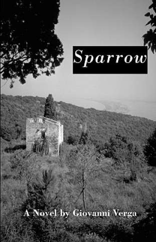 Knjiga Sparrow : A Novel Giovanni Verga