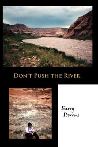 Книга Don't Push the River Barry Stevens