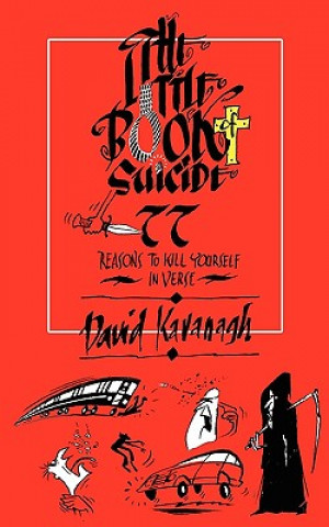 Książka Little Book of Suicide David Kavanagh