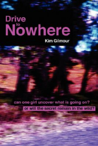 Buch Drive To Nowhere Kim Gilmour