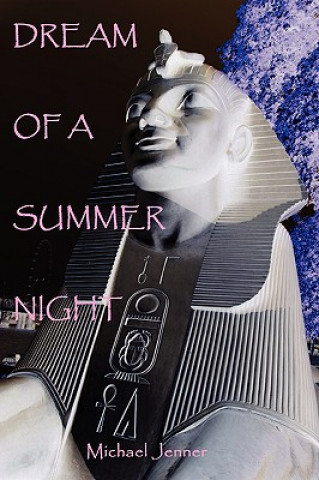 Книга Dream of A Summer Night Michael Jenner