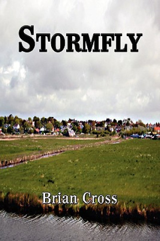 Boek Stormfly Brian Cross